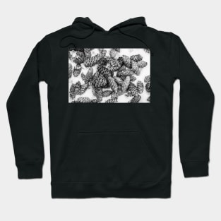 Spruce Cones on Fresh Snow Hoodie